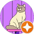 Amy Vanderhill Avatar